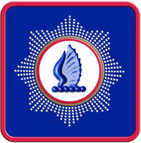 GER bat's wing emblem